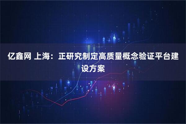 亿鑫网 上海：正研究制定高质量概念验证平台建设方案