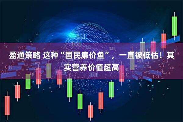 盈通策略 这种“国民廉价鱼”，一直被低估！其实营养价值超高