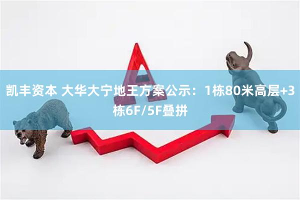 凯丰资本 大华大宁地王方案公示：1栋80米高层+3栋6F/5F叠拼