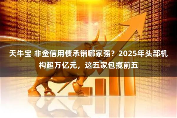 天牛宝 非金信用债承销哪家强？2025年头部机构超万亿元，这五家包揽前五