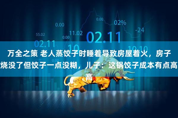 万全之策 老人蒸饺子时睡着导致房屋着火，房子烧没了但饺子一点没糊，儿子：这锅饺子成本有点高