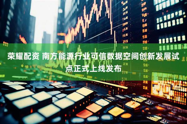 荣耀配资 南方能源行业可信数据空间创新发展试点正式上线发布